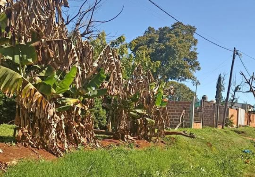 ¡NUEVO INGRESO! Excelente lote en Barrio Don Claudio de Garupá