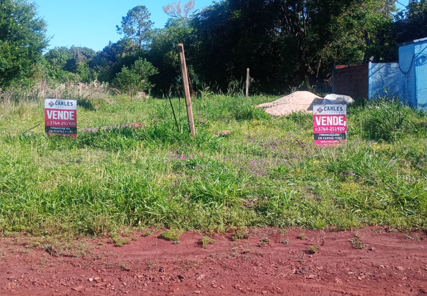 Excelente lote ubicado en  zona el Chogüi