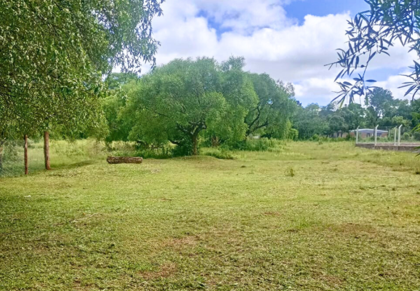 LOTEO SARANDÍ- CANDELARIA