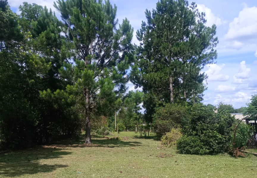 Hermoso y amplio terreno en zona  estancia Santa  Inés.