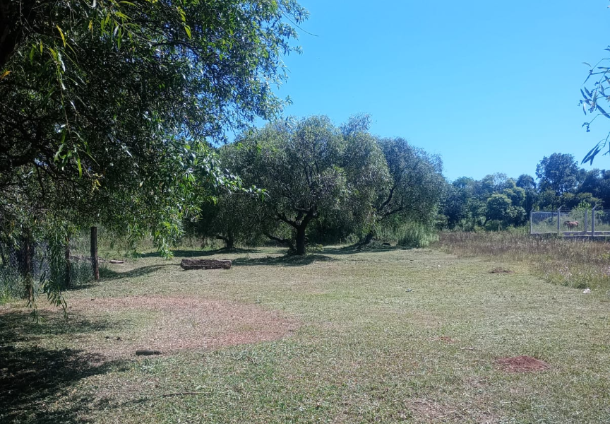 LOTEO SARANDÍ- CANDELARIA